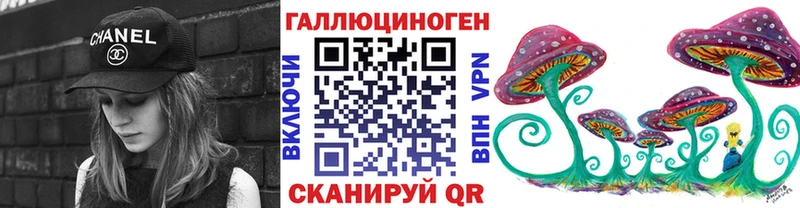 где можно купить   Велиж  Галлюциногенные грибы Cubensis 
